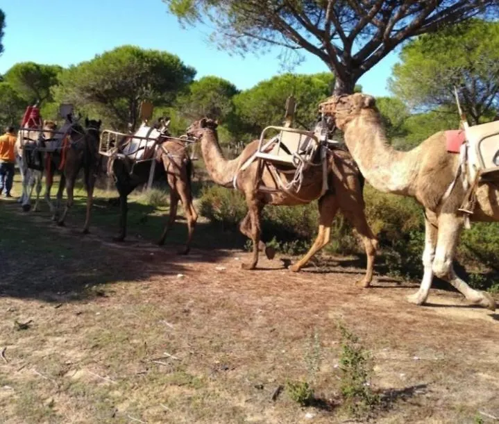 Holiday home Matalascanas Urbanizacion Macarena III